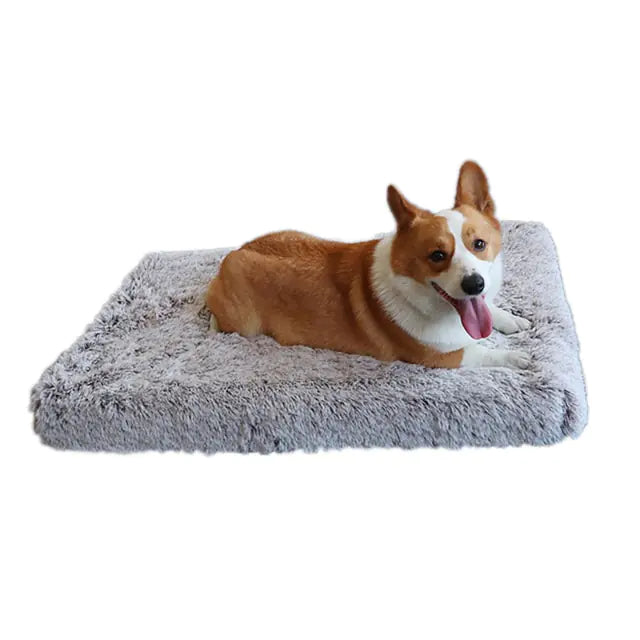 Washable Plush Washable Dog Bed – The Ultimate Comfort for Your Loyal Friend
