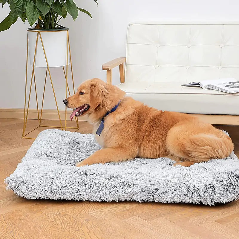 Washable Plush Washable Dog Bed – The Ultimate Comfort for Your Loyal Friend