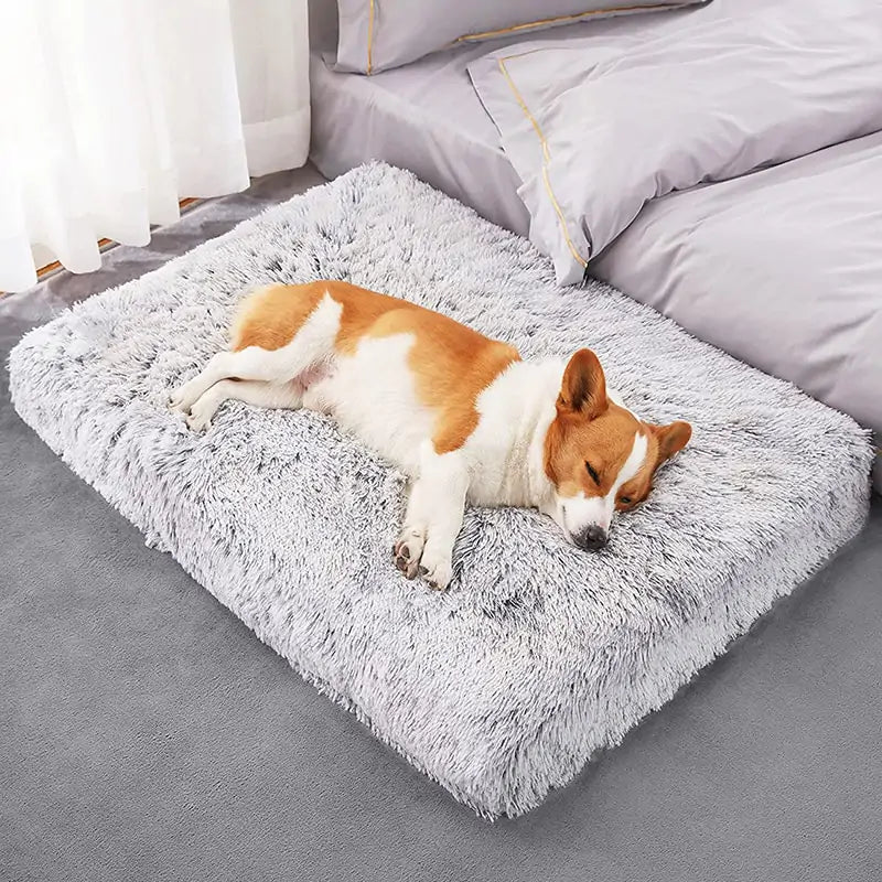 Washable Plush Washable Dog Bed – The Ultimate Comfort for Your Loyal Friend