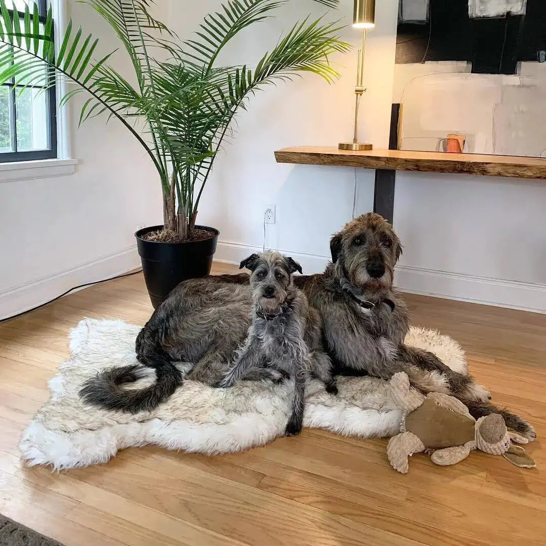 Faux Fur Dog Bed – Ultimate Comfort for Your Pet
