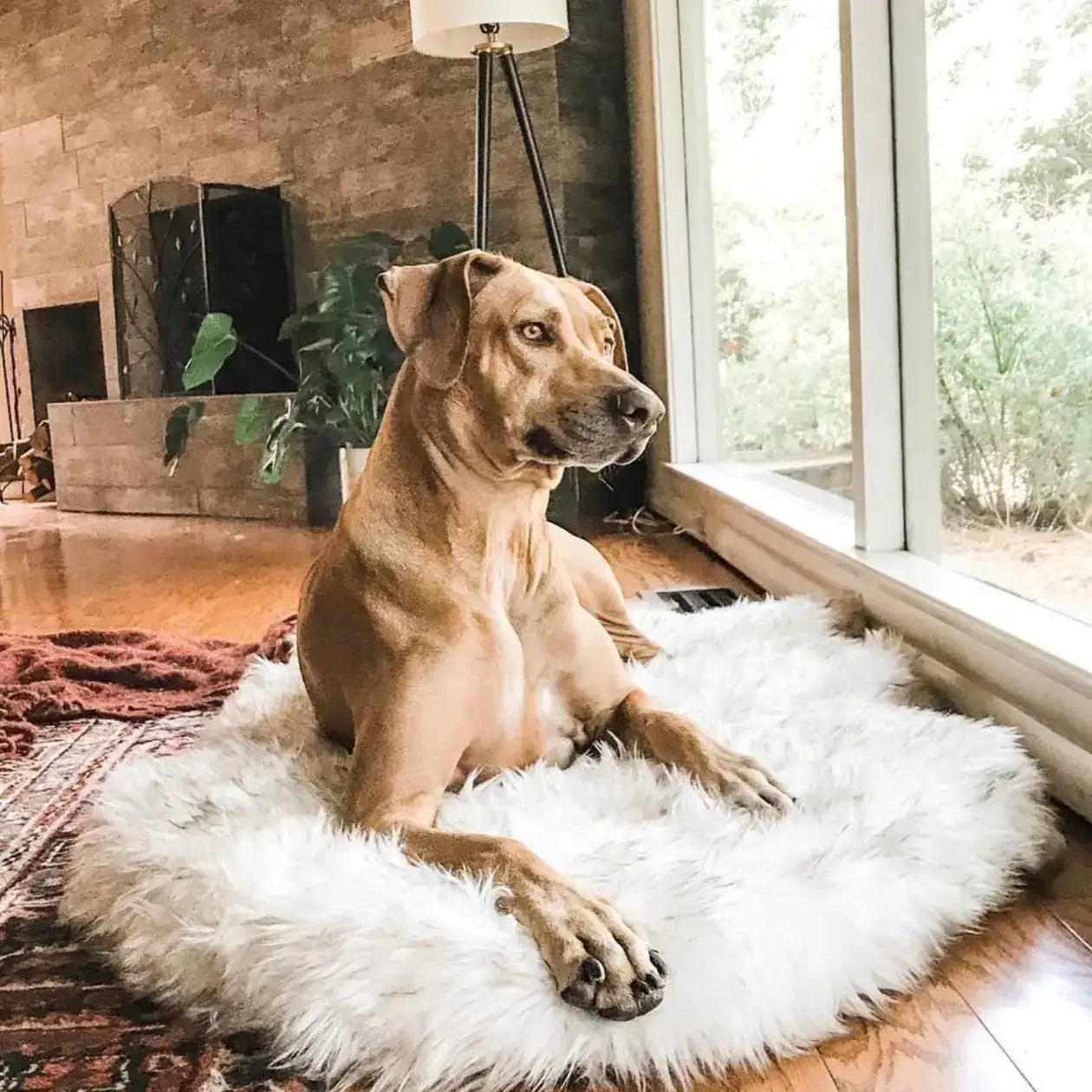 Faux Fur Dog Bed – Ultimate Comfort for Your Pet