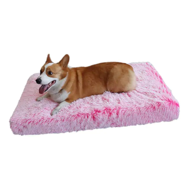 Washable Plush Washable Dog Bed – The Ultimate Comfort for Your Loyal Friend