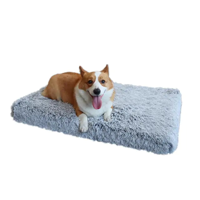 Washable Plush Washable Dog Bed – The Ultimate Comfort for Your Loyal Friend