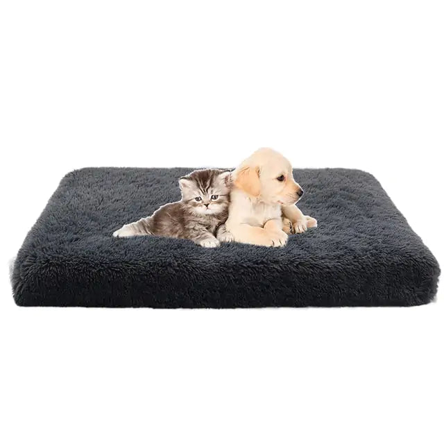 Washable Plush Washable Dog Bed – The Ultimate Comfort for Your Loyal Friend
