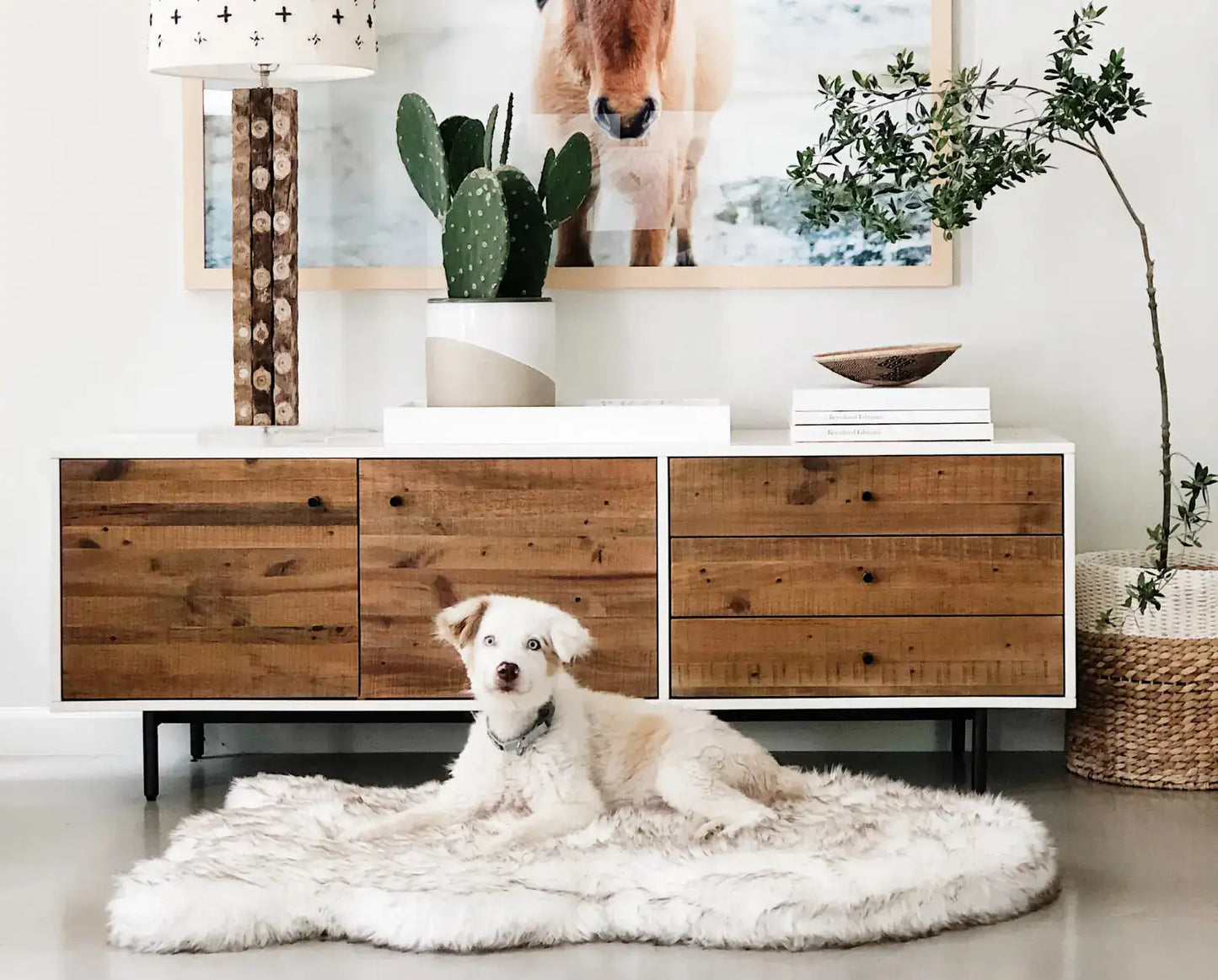 Faux Fur Dog Bed – Ultimate Comfort for Your Pet